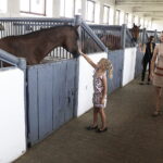 16.08.2022 Michałów. Stadnina koni. Dzień otwarty dla zwiedzających / Fot. Jarosław Kubalski - Radio Kielce