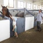 16.08.2022 Michałów. Stadnina koni. Dzień otwarty dla zwiedzających / Fot. Jarosław Kubalski - Radio Kielce