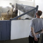 16.08.2022 Michałów. Stadnina koni. Dzień otwarty dla zwiedzających / Fot. Jarosław Kubalski - Radio Kielce