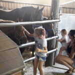 16.08.2022 Michałów. Stadnina koni. Dzień otwarty dla zwiedzających / Fot. Jarosław Kubalski - Radio Kielce