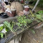 13.08.2022. Nowa Słupia. 54. Dymarki Świętokrzyskie