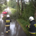 14.08.2022. Waśniów. Strażacy przy usuwaniu konaru z drogi. / Fot. OSP Waśniów - Facebook