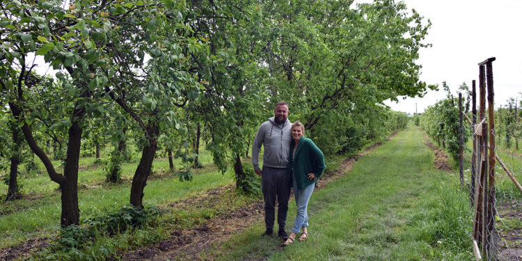 Oto najlepsze gospodarstwo ekologiczne 2022 roku w Świętokrzyskiem - Radio Kielce