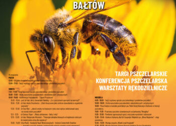 Miłośnicy pszczół mają swoje święto w Bałtowie - Radio Kielce