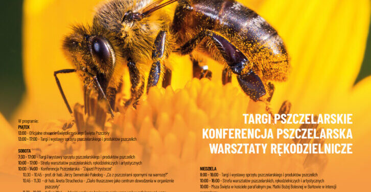 Miłośnicy pszczół mają swoje święto w Bałtowie - Radio Kielce