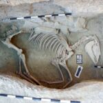 Na zdjęciu: pochówek konia / Fot. archiwum Beaty Polit