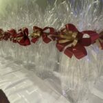 Ujazd. Złote Gody na zamku Krzyżtopór / Emilia Sitarska - Radio Kielce