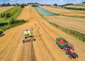 Usługi rolnicze i leśne – wydłużono termin składania wniosków - Radio Kielce
