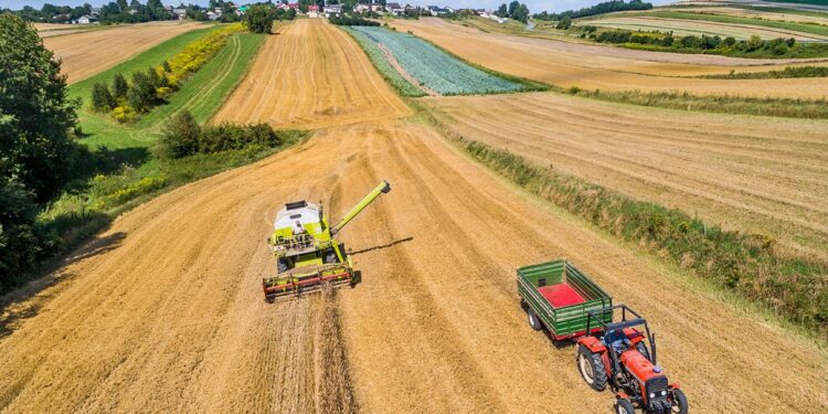 Usługi rolnicze i leśne – wydłużono termin składania wniosków - Radio Kielce Usługi rolnicze i leśne – wydłużono termin składania wniosków - Radio Kielce