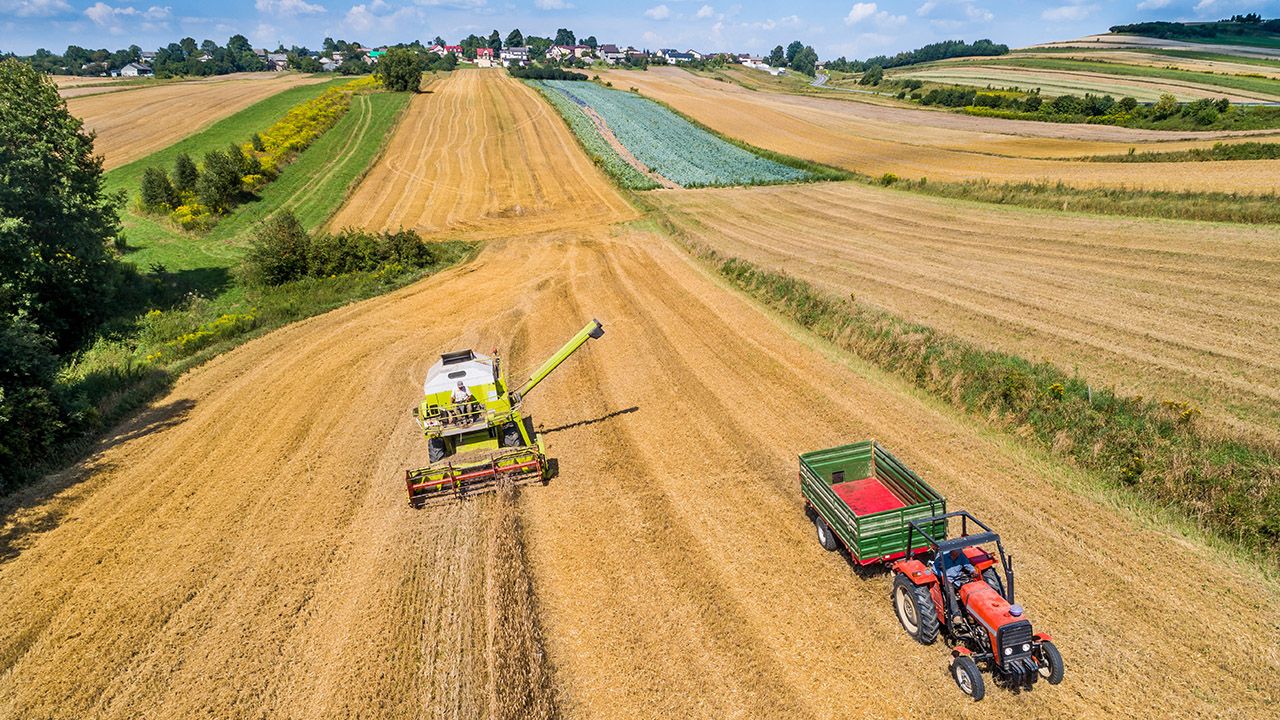 Usługi rolnicze i leśne – wydłużono termin składania wniosków - Radio Kielce Usługi rolnicze i leśne – wydłużono termin składania wniosków - Radio Kielce
