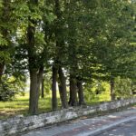 05.08.2022. Włostów. Park / Fot. Emilia Sitarska - Radio Kielce