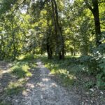 05.08.2022. Włostów. Park / Fot. Emilia Sitarska - Radio Kielce