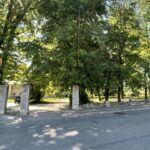 05.08.2022. Włostów. Park / Fot. Emilia Sitarska - Radio Kielce