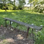 05.08.2022. Włostów. Park / Fot. Emilia Sitarska - Radio Kielce