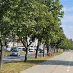 2022.08.2022. Kielce. Ulica Klonowa / Fot. Wiktor Taszłow - Radio Kielce