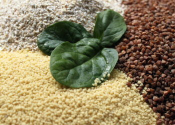 Czas na kasze. Jak powstają i dlaczego warto je jeść? - Radio Kielce