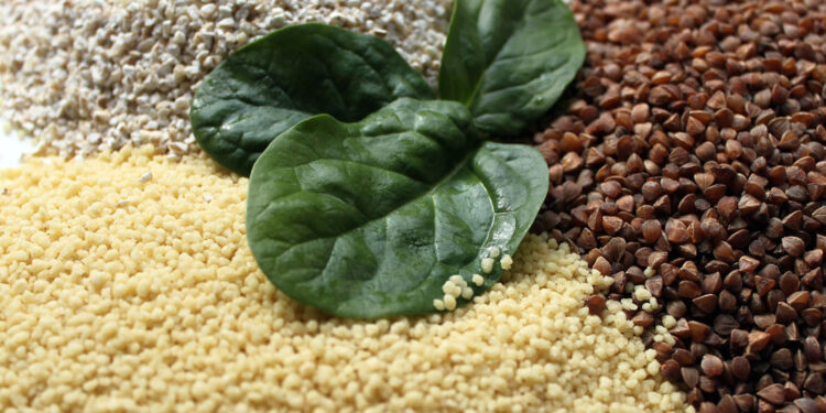 Czas na kasze. Jak powstają i dlaczego warto je jeść? - Radio Kielce