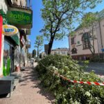 04.08.2022. Kielce. Przycinanie gałęzi drzew rosnących przy ul. Paderewskiego / Fot. Wiktor Taszłow - Radio Kielce