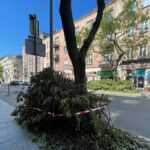 04.08.2022. Kielce. Przycinanie gałęzi drzew rosnących przy ul. Paderewskiego / Fot. Wiktor Taszłow - Radio Kielce