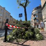 04.08.2022. Kielce. Przycinanie gałęzi drzew rosnących przy ul. Paderewskiego / Fot. Wiktor Taszłow - Radio Kielce