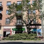 04.08.2022. Kielce. Przycinanie gałęzi drzew rosnących przy ul. Paderewskiego / Fot. Wiktor Taszłow - Radio Kielce