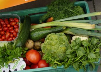 Raport o cenach. Co zdrożało, a co staniało w skupach rolnych i na targowiskach w lipcu? - Radio Kielce