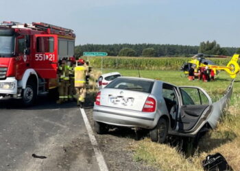 Fot. KP PSP w Wąbrzeźnie