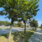 2022.08.2022. Kielce. Ulica Klonowa / Fot. Wiktor Taszłow - Radio Kielce