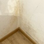 11.08.2022. Starachowice. Blok socjalny w Kolonii Robotniczej przy ulicy Widok. Grzyb na ścianie / Fot. Emilia Sitarska - Radio Kielce