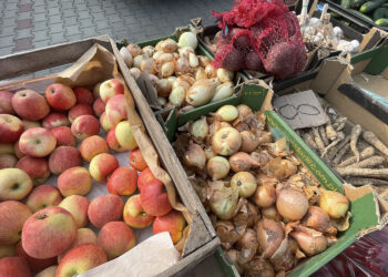 Ceny na Targowisku Miejskim z Opatowie (17.08.2022) - Radio Kielce