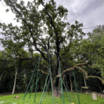 Rowerem dojedziemy do Bartka. Nowe ścieżki w powiecie