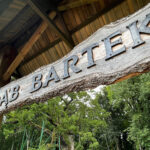 23.08.2022. Zagnańsk. Dąb Bartek. / Fot. Wiktor Taszłow - Radio Kielce