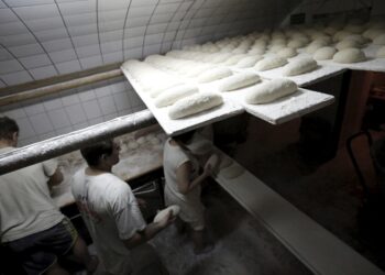 Mąki nie zabraknie. Są zapasy cukru - Radio Kielce