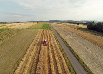 W tym roku zapowiadane są udane żniwa - Radio Kielce