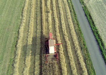 Pogoda na dla Świętokrzyskiego. Co IMGW zapowiada dla rolników? - Radio Kielce