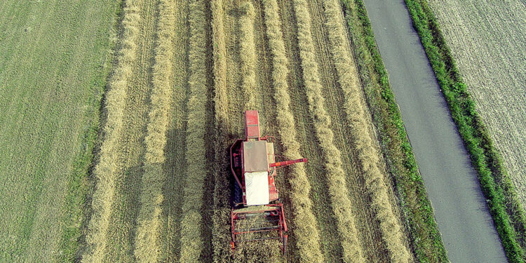 Pogoda na dla Świętokrzyskiego. Co IMGW zapowiada dla rolników? - Radio Kielce