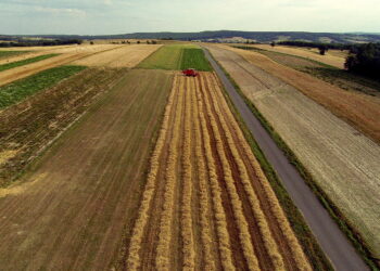 Koniec żniw w Świętokrzyskiem. Przebiegły sprawnie i bez strat - Radio Kielce