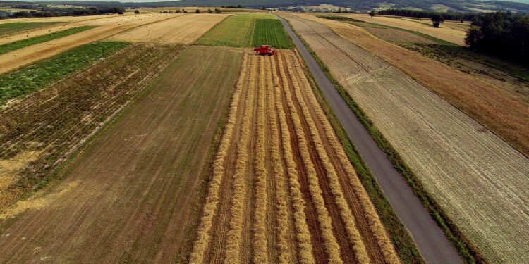 Koniec żniw w Świętokrzyskiem. Przebiegły sprawnie i bez strat - Radio Kielce