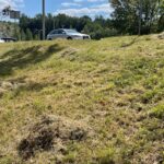 04.08.2022. Kielce. Kopki siana przy ulicy Krakowskiej / Fot. Paulina Michta - Radio Kielce