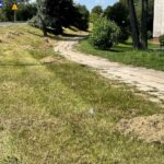 04.08.2022. Kielce. Kopki siana przy ulicy Krakowskiej / Fot. Paulina Michta - Radio Kielce