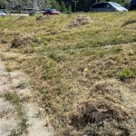 04.08.2022. Kielce. Kopki siana przy ulicy Krakowskiej / Fot. Paulina Michta - Radio Kielce