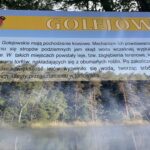 Golejów. Zalew / Fot. Grażyna Szlęzak - Radio Kielce