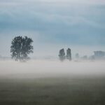 Fot. Wiktor Taszłow - Radio Kielce