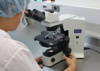 Bezpłatne badanie na obecność włośni mięsa przeznaczonego na użytek własny - Radio Kielce