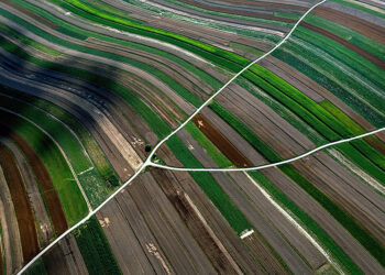 W Polsce od lat nasila się zjawisko suszy - Radio Kielce