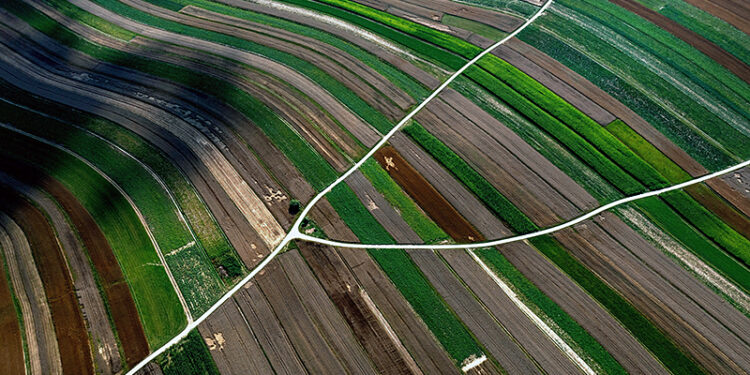 W Polsce od lat nasila się zjawisko suszy - Radio Kielce