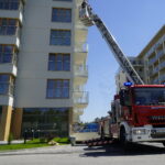 05.08.2022. Kielce. Strażacy uwolnili zazakleszczonego w barierkach gołębia / Fot. Piotr Kwaśniewski - Radio Kielce