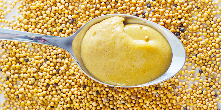 Coraz trudniej produkować musztardę - Radio Kielce Coraz trudniej produkować musztardę - Radio Kielce