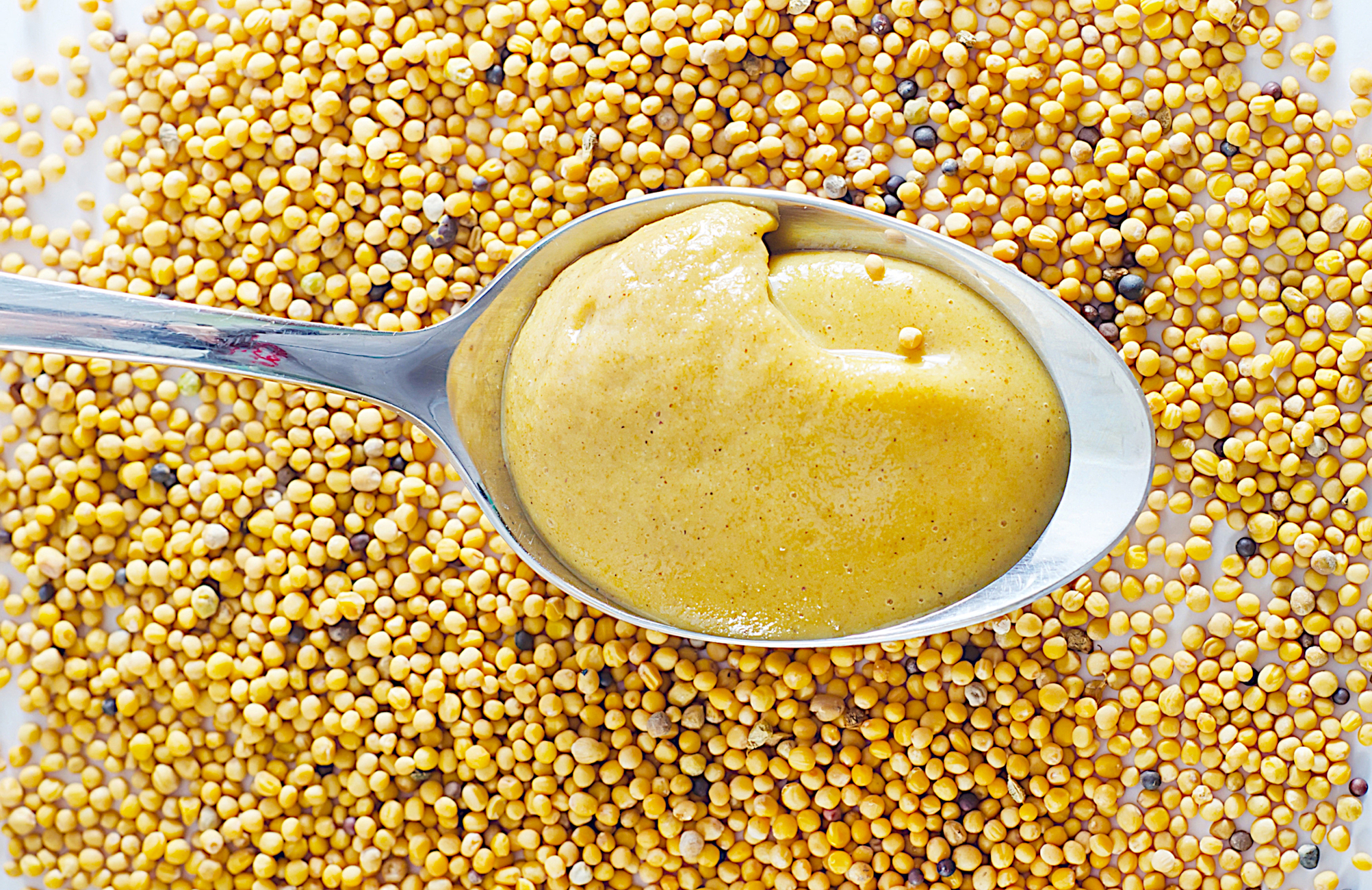 Coraz trudniej produkować musztardę - Radio Kielce Coraz trudniej produkować musztardę - Radio Kielce