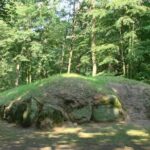 Fot. Nadleśnictwo Koło